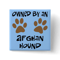 Owned By An Afghan Hound