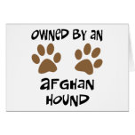 Owned By An Afghan Hound Card