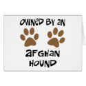 Owned By An Afghan Hound cards