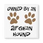 Owned By An Afghan Hound Refrigerator Magnets