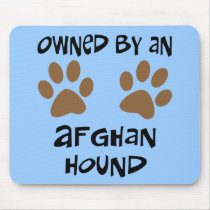 Owned By An Afghan Hound