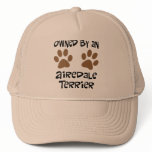 Owned By An Airedale Terrier