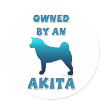 Owned by an Akita