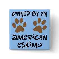 Owned By An American Eskimo