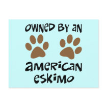 Owned By An American Eskimo