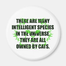 Owned by Cats Fridge Magnets