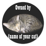 Owned by (name of your cat)