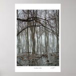 Ox-Bow Mist posters
