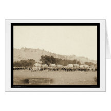 Ox Teams & Wagons Freighting Black Hills SD 1887 Greeting Card