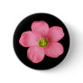 Oxalis flower ~ button