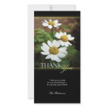 Oxeye Daisy Floral Thank You Photo Card