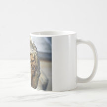 Oxford Gargoyle Coffee Mug