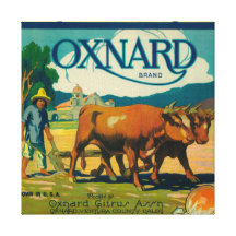 Oxnard Orange LabelOxnard, CA Canvas Print