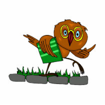Oxnard Owl