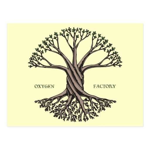 Oxygen Factory Post Card
