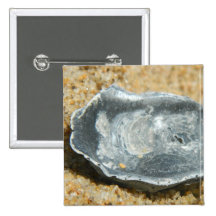 Oyster Shell in The Sand Button