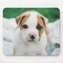 ozzy osborne wannabe mouse pads