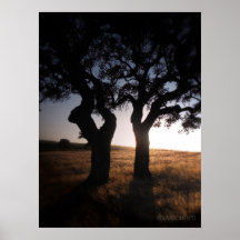 P01 - Last Light Poster