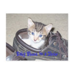 P1020640_153_153, Baby Blues in a Shoe Postcards