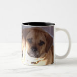 P1090060puggle mug