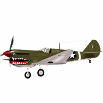 P40 Warhawk Cut Outs