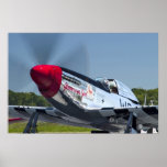 P51