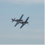 P-51 sculpture photo sculptures