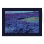 'P Below in Indigo' cards