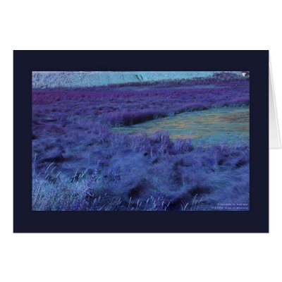 'P Below in Indigo' Greeting Card by marlodianne