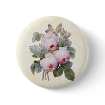 P.J. Redoute Bourbon Rose
