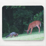 Pa Grey Fox & White Tail Deer mousepads