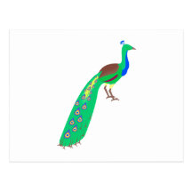 Paavo Peacock Postcard