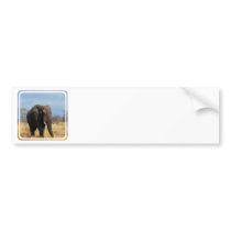 Pachyderm Bumper Sticker
