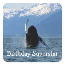 Pacific Ballet; Happy Birthday Square Stickers