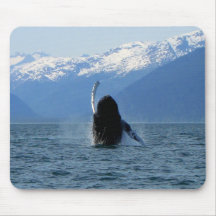 Pacific Ballet Mouse Pads