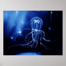 Pacific Fluorescent Jellyfish Print