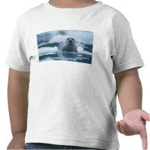 pacific harbour seal, Phoca vitulina richardsi T-shirts