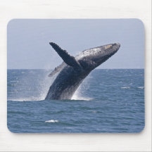 Pacific Humpback Whale... Mousepads