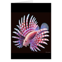 Pacific Lionfish Card