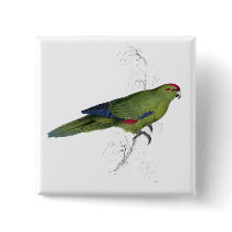 Pacific Parrakeet by Edward Lear Buttons