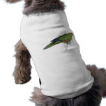 Pacific Parrakeet by Edward Lear pet clothing