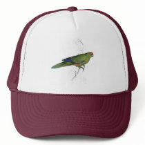 Pacific Parrakeet by Edward Lear Trucker Hat