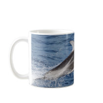 Pacific White Sided Dolphin 2 Coffee Mugs
