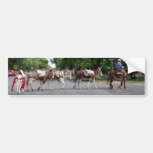 Pack donkeys bumper sticker