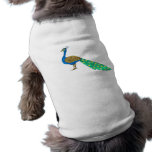 Packer Peacock pet clothing