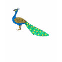 Packer Peacock t-shirts