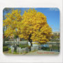 Packetts Landing, Fairport, NY Erie Canal Mousepads
