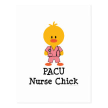 PACU Nurse Chick Postcard