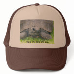 paddy,I have my eye on you., I Have My Eye On You. hats