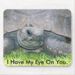 paddy,I have my eye on you., I Have My Eye On You. mousepads